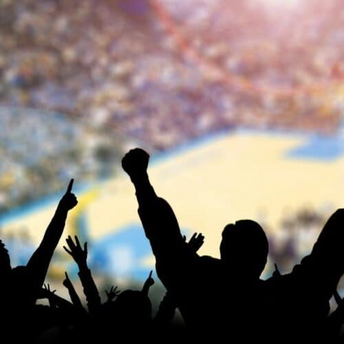 basket ball division en france